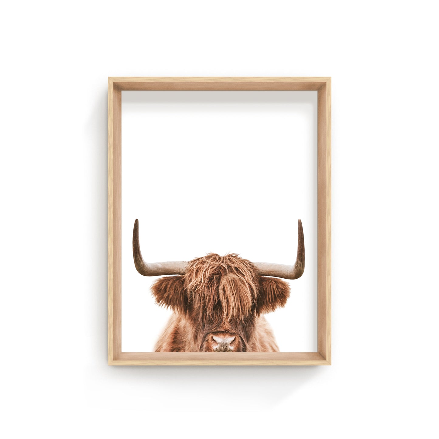 Meet the Adorable Farmstyle Highland Cow! 🐮✨ #HighlandCow #FarmLife #CutenessOverload