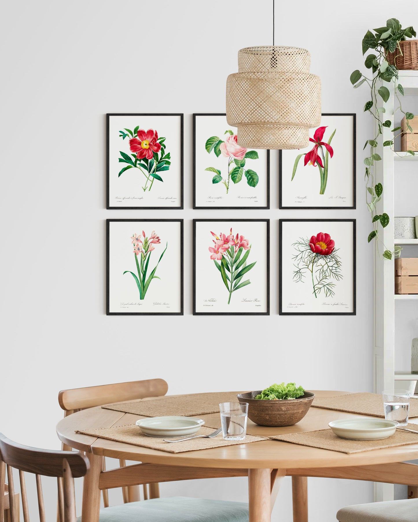 Classic Floral Collection (6pc)