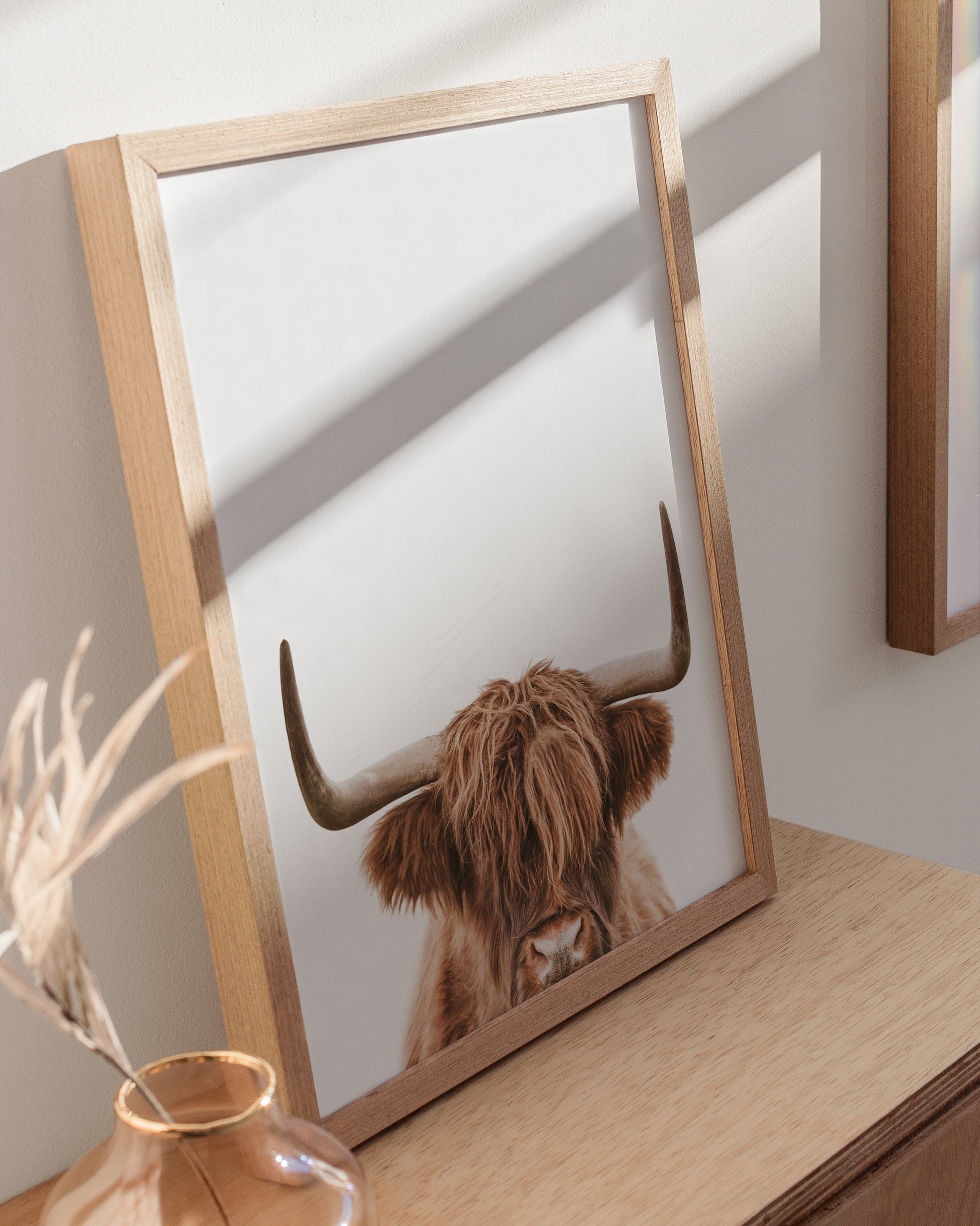 Meet the Adorable Farmstyle Highland Cow! 🐮✨ #HighlandCow #FarmLife #CutenessOverload