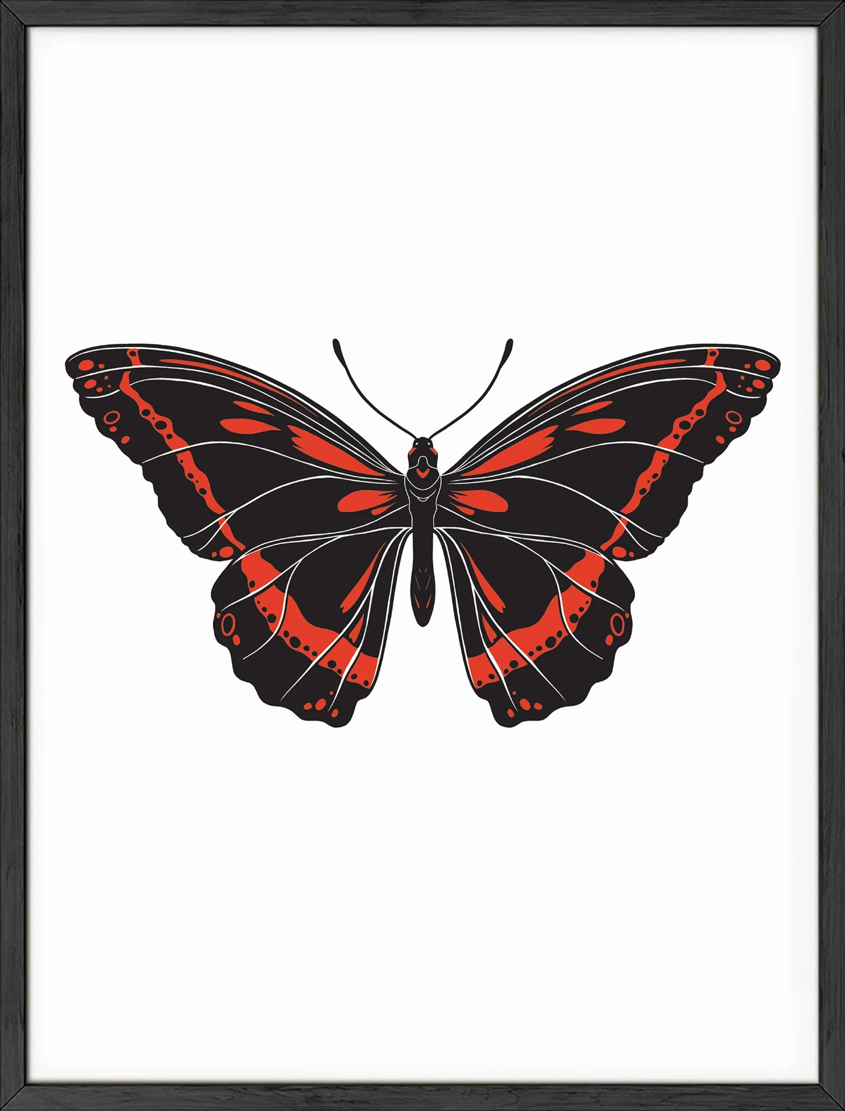 Stunning Red Butterfly: Nature's Elegance Unleashed!
