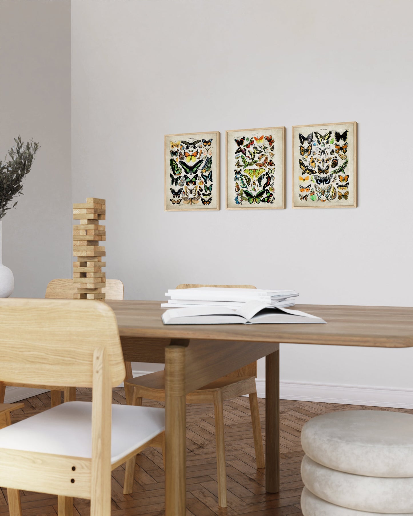 Adolphe Millot Butterfly Collection: A Captivating Display of Nature's Beauty (3pc)