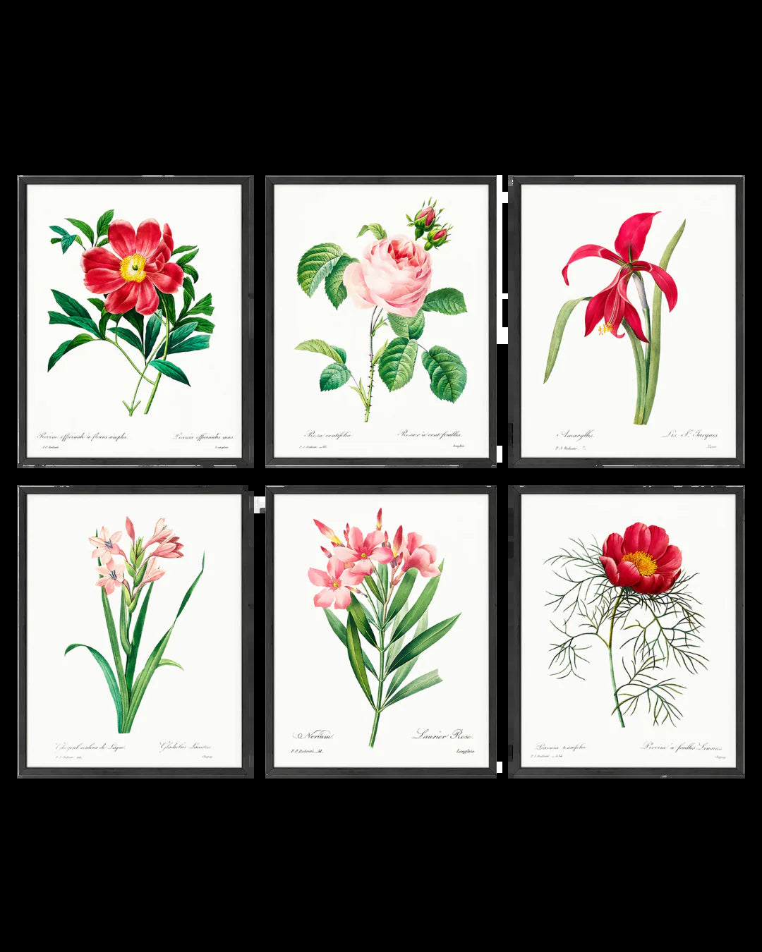 Classic Floral Collection (6pc)