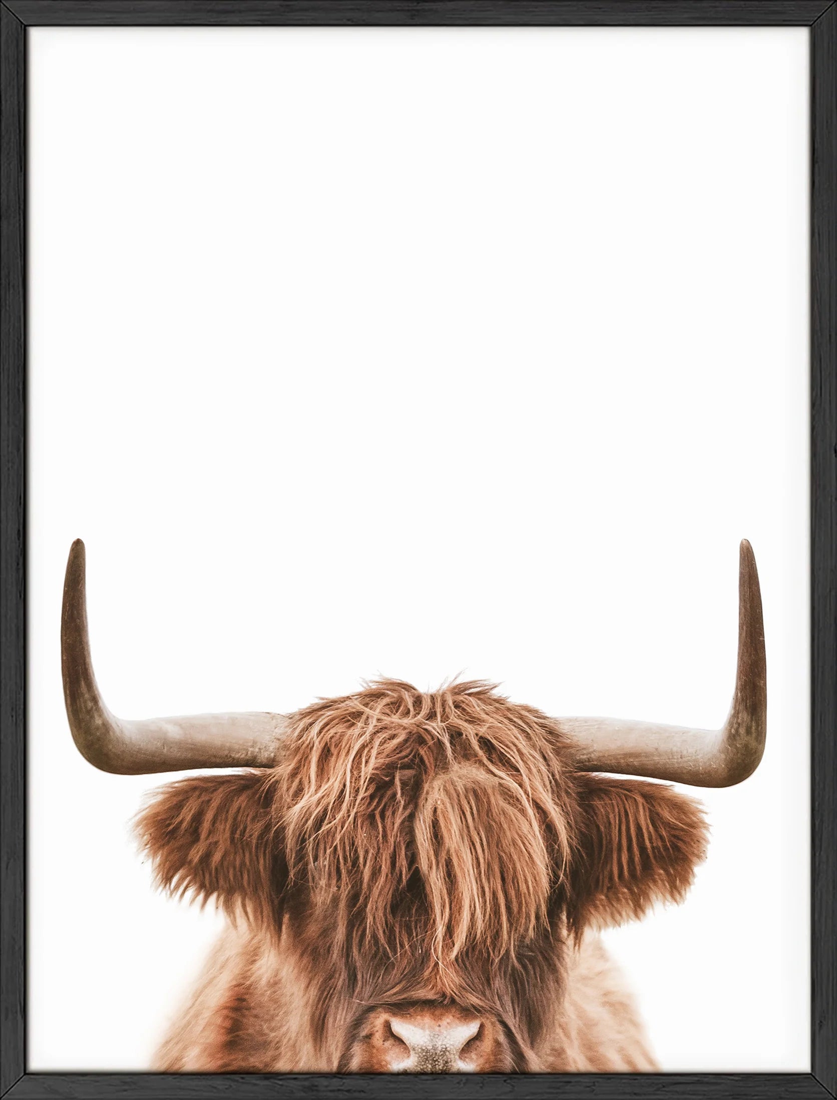 Meet the Adorable Farmstyle Highland Cow! 🐮✨ #HighlandCow #FarmLife #CutenessOverload