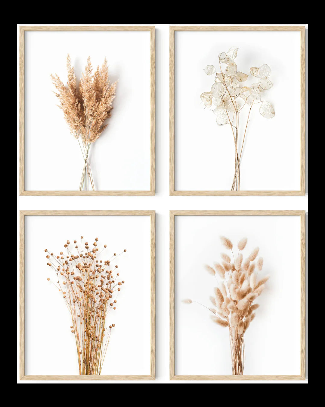 Brown Foliage Plants (4pc)